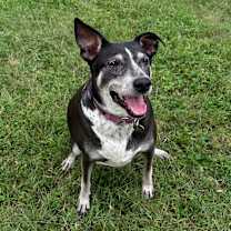 Thumbnail photo of Summer 2074 #3