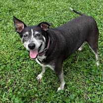 Thumbnail photo of Summer 2074 #4