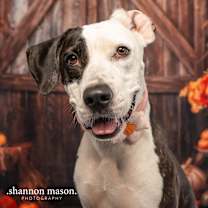 Thumbnail photo of Miley #4