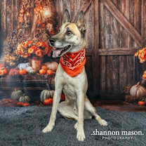 Thumbnail photo of Riddick aka Riddy #2