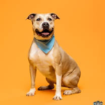 Thumbnail photo of Daisy #1