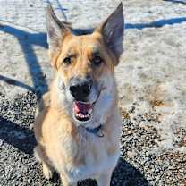 Thumbnail photo of Sonny #2