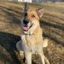 Thumbnail photo of Sonny #3