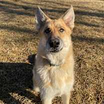 Thumbnail photo of Sonny #4