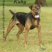 Thumbnail photo of Ruby #2