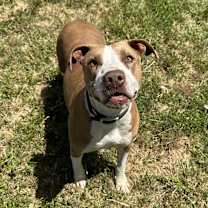 Thumbnail photo of Donna Barkin #4