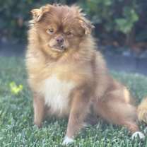 Thumbnail photo of Sandie #2