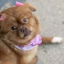 Thumbnail photo of Sandie #3