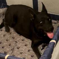 Thumbnail photo of Shakira #2