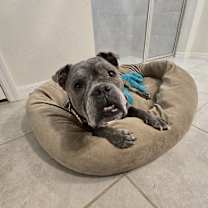 Thumbnail photo of Gertie #3