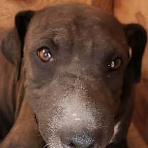 Thumbnail photo of Clair #1