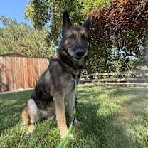 Thumbnail photo of Hudson #1