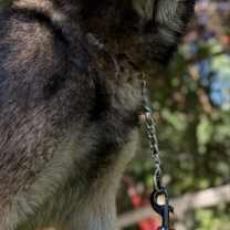 Thumbnail photo of Hudson #2