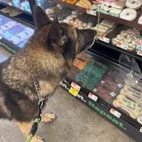 Thumbnail photo of Hudson #3