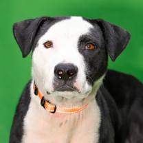 Thumbnail photo of Spot #1