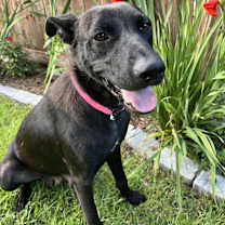 Thumbnail photo of Lucy #4