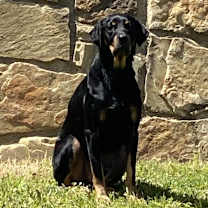 Thumbnail photo of Argos #1