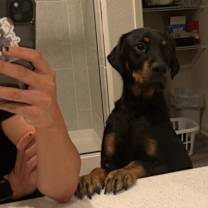 Thumbnail photo of Argos #2