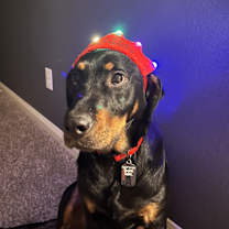 Thumbnail photo of Argos #3