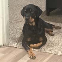 Thumbnail photo of Argos #4