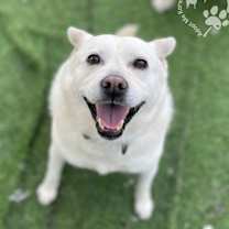 Thumbnail photo of Dooyoo #3