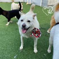 Thumbnail photo of Dooyoo #4