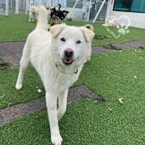 Thumbnail photo of Obok #2