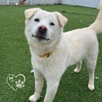 Thumbnail photo of Obok #3