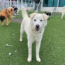 Thumbnail photo of Obok #4