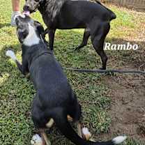 Thumbnail photo of Nadia #4