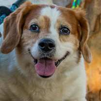 Thumbnail photo of Mater #3