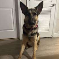 Thumbnail photo of Zeus 3122 #4