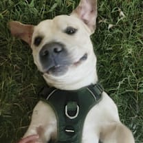 Thumbnail photo of Max #1