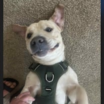 Thumbnail photo of Max #2