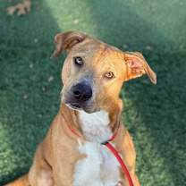 Thumbnail photo of Smiley #3