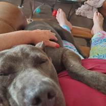 Thumbnail photo of Chloe #2