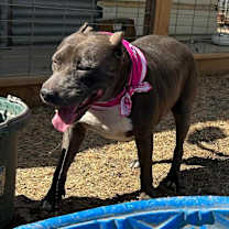 Thumbnail photo of Chloe #3