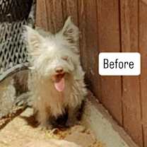 Thumbnail photo of Billy Idol #4