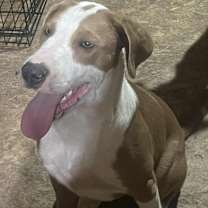 Thumbnail photo of Bullseye #1