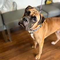 Thumbnail photo of Zeus #2