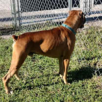 Thumbnail photo of Zeus #4