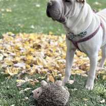 Thumbnail photo of Walter White #2