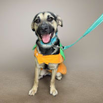 Thumbnail photo of Raya #1