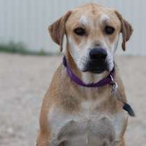 Thumbnail photo of Bert #3