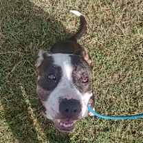 Thumbnail photo of Jasmine #3