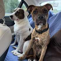 Thumbnail photo of Kim #1