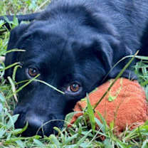 Thumbnail photo of Fiona #4