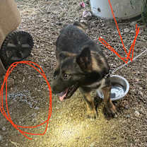 Thumbnail photo of Boone / Max B818 #2