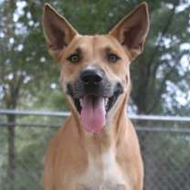 Thumbnail photo of Chex 25 #3