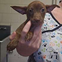 Thumbnail photo of Fred #1